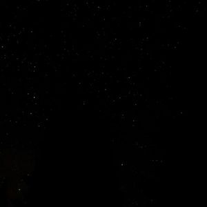 Meet your Posher, Alana